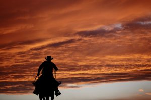 Max Cash Title Loans in Amarillo, Texas provides the best brokerage service by finding Texans the best title loan possible. Max Cash Title Loans services not only Amarillo, but also the entire state of Texas.