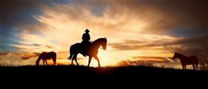 A man rides his horse in front of a Texas sunset.